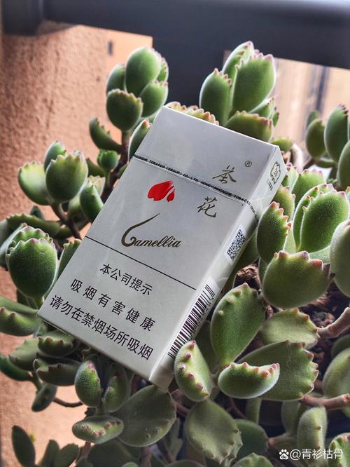 茶花香烟批发【茶花香烟批发价多少】